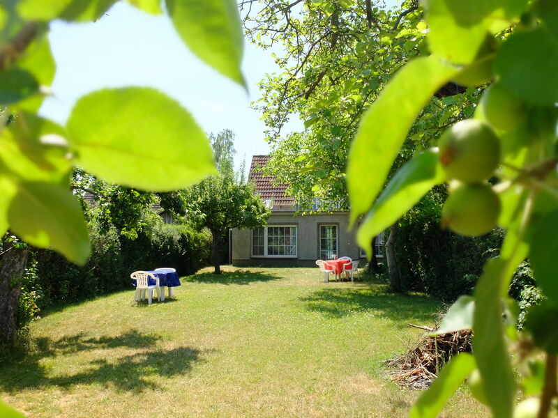 Garten durchs Blattwerk