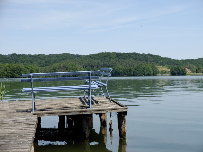 Boot vor Schilf und Seerosen