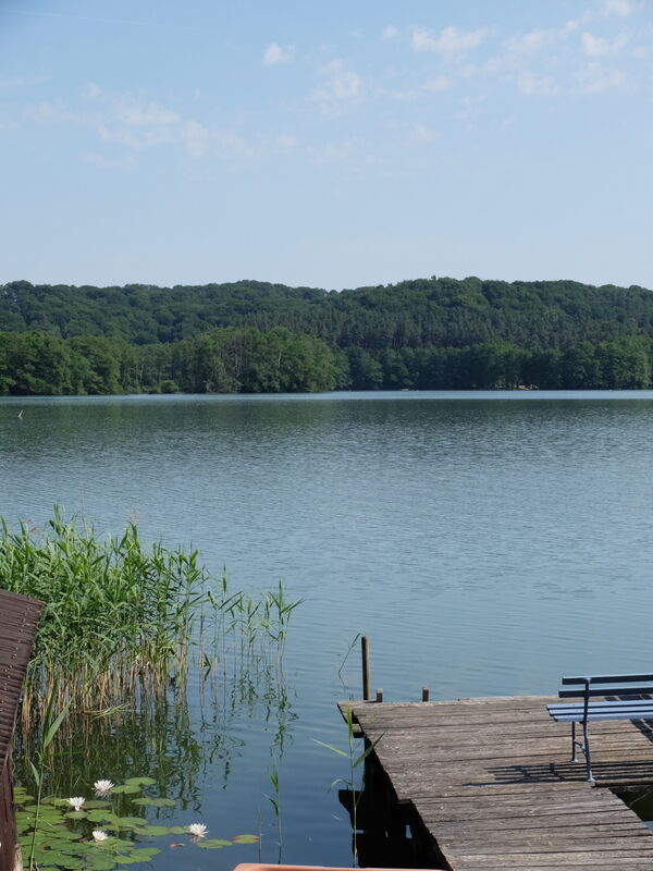 Der Haussee